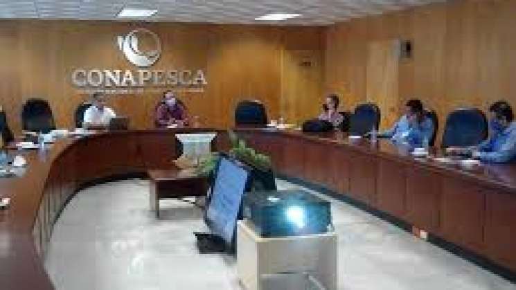 Permiso comercial electrónico a 300 mil pescadores: Conapesca