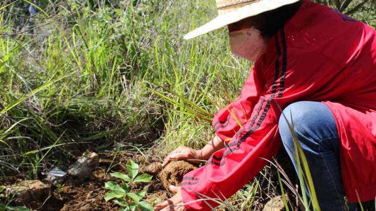 CECAD-UABJO reafirman compromiso con medio ambiente