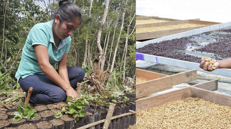 Brindan SSO tratamiento a pacientes con labio y paladar hendido