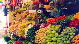  Sistema Mexiquense de Medios Públicos