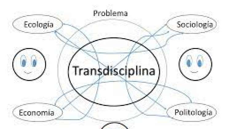 Transdisciplina, futuro de la docencia dentro y fuera de las aula