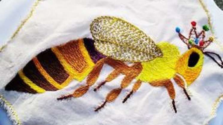 Panal monumental de abejas meliponas en el Museo Textil de Oaxaca