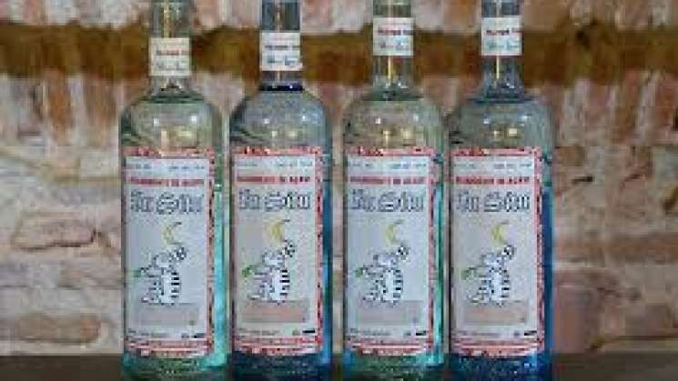 Mezcal oaxaqueño llega a China para conquistarlo