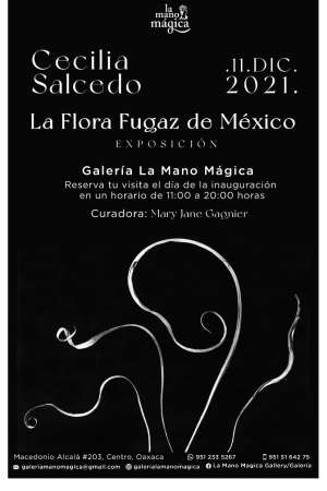 La flora fugaz de México, exposición de Cecilia Saucedo