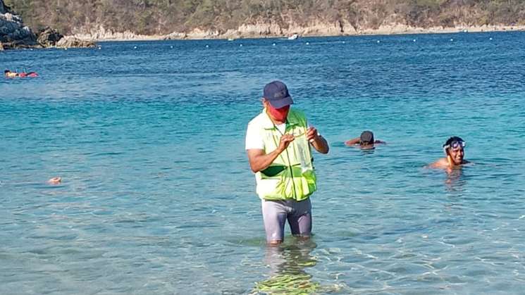 Aptas para uso recreativo las playas de Oaxaca: SSO  