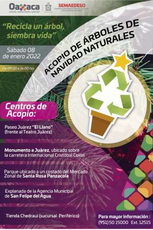 Acopio de arboles naturales