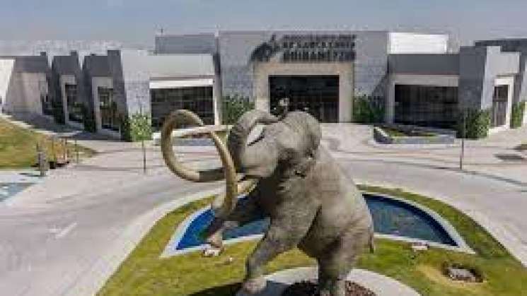 El Museo Paleontológico del AIFA  abre sus puertas al publico