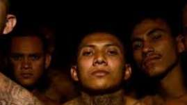  Cultura Colectiva news