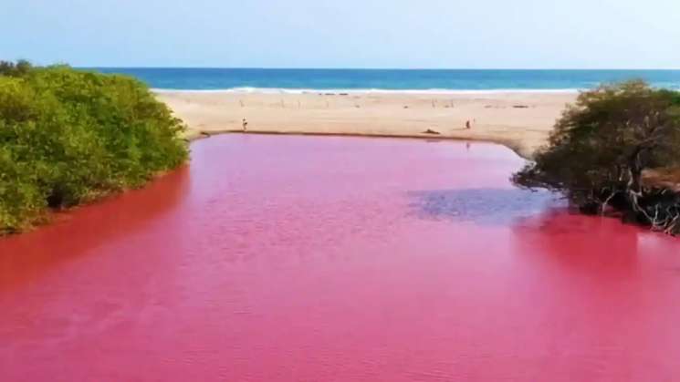 Laguna la Salina se tiñe de rosa en Escobilla, Tonameca
