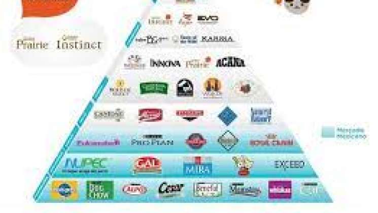 Exhibe Profeco marcas de comida para gatos sin carne ni proteínas