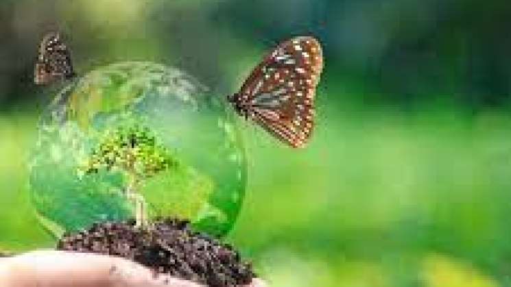 Revela estudio que planeta perdería 10% de biodiversidad en 2050