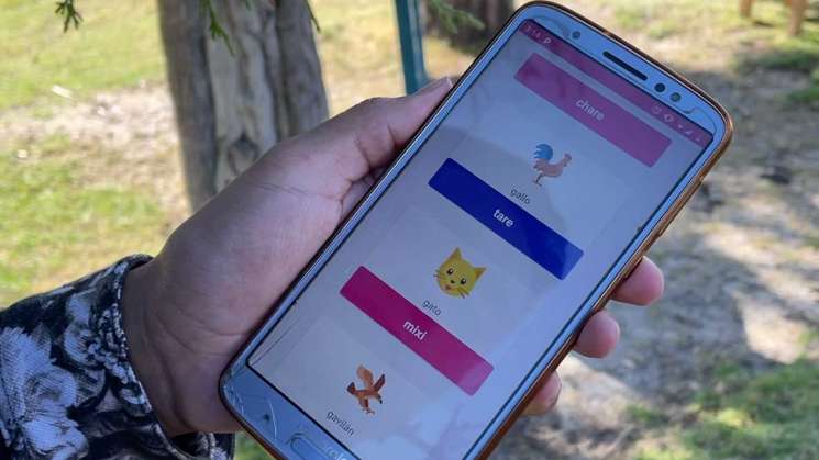 Crean MazahuaApp: cómo salvar del olvido al mazahua