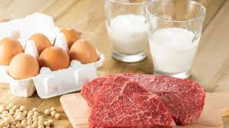 Carne, huevos y leche son fuente esencial de nutrientes: FAO