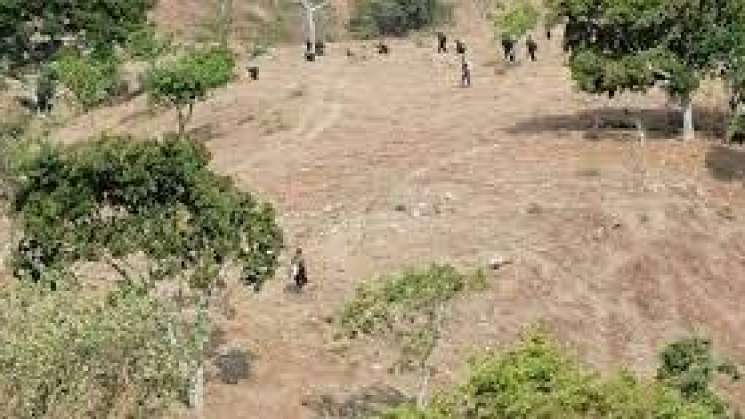 Ataque armado en Santiago Ixtayutla, Oaxaca deja un herido