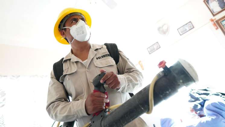 Más de 1 millón 800 mil acciones en la lucha contra el dengue:SSO