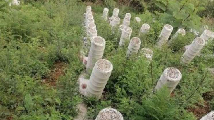 Roban y dañan luminarias instaladas en el Cerro del Fortín