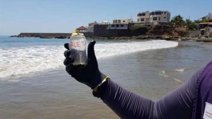 Solo 6 playas no pasaron prueba de Cofepris por contaminados 