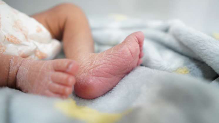 Reporta SSO primer nacimiento del 2024    