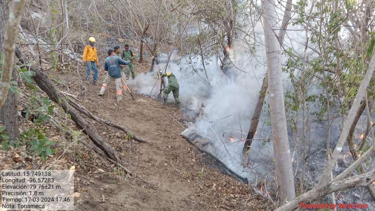 Combate Coesfo incendio forestal en Santa María Tonameca  