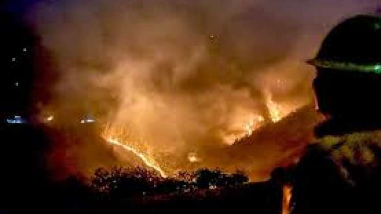 Reporta Coesfo mil hectáreas afectadas por incendios en Oaxaca