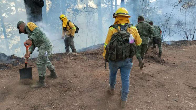   Combaten incendio forestal en agencia de Asunción Mixtepec    