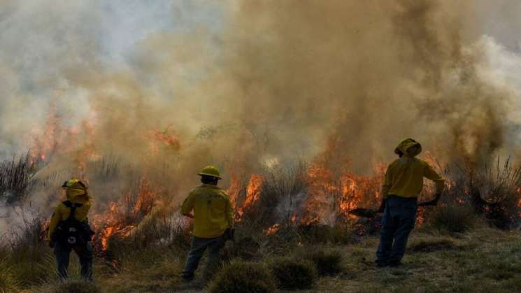 Reporta AMLO 116 incendios forestales en México