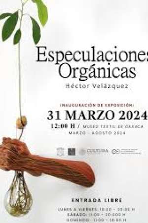 Exposición Especulaciones orgánicas de Héctor Velázquez