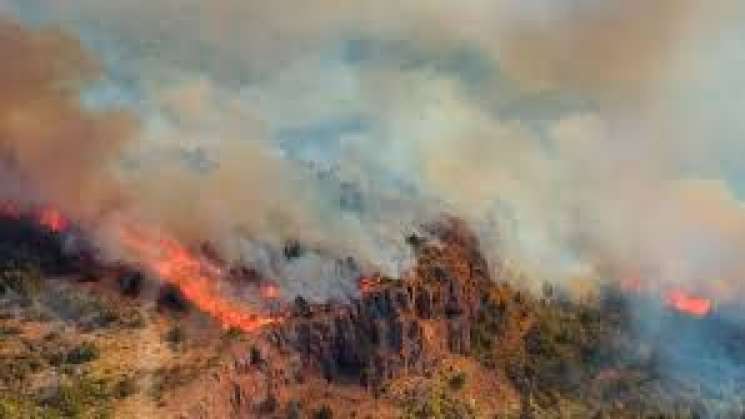 Desmiente Coesfo de personas desaparecidas en Sierra jùarez 
