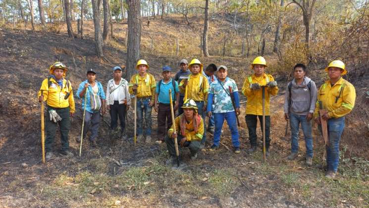     Liquidados cuatro incendios forestales en la Sierra de Juárez