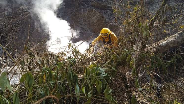  Apaga Coesfo incendio forestal en agencia de Asunción Mixtepec 