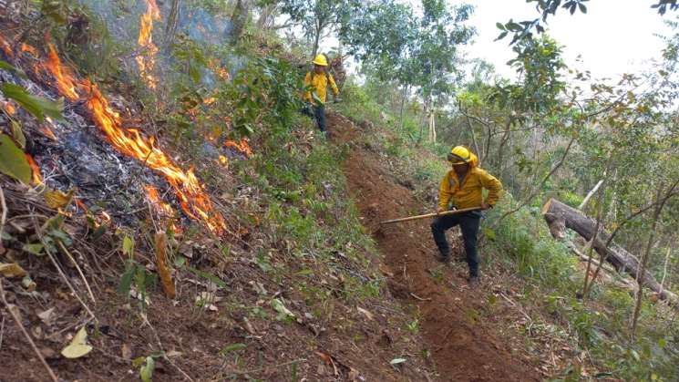 Atiende Coesfo reactivación del incendio en San Juan Quiotepec 