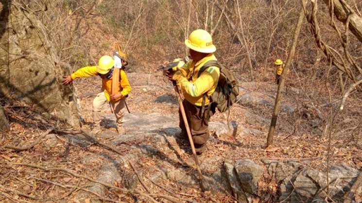 Atiende Coesfo incendio en Sta.María Huatulco y San Miguel Puerto