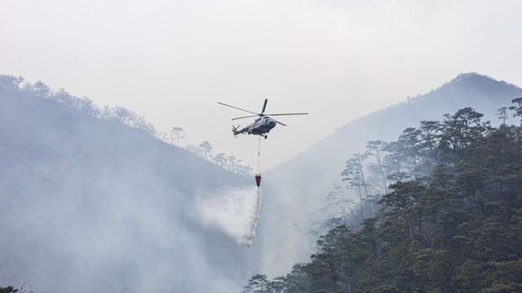 Prácticas agrícolas mal encauzadas originan el 94% de incendios