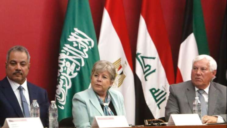 Alicia Bárcenas: Inaceptable la situación en Gaza