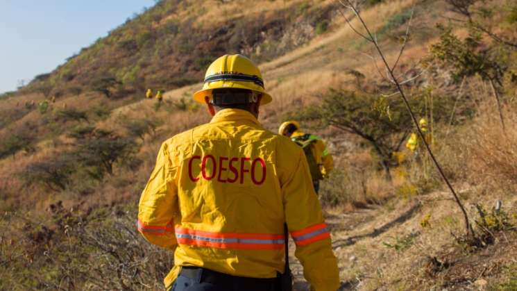 Atiende Coesfo incendio forestal en San Andrés Huayápam