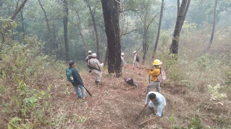   Refuerza Coesfo atención a incendio forestal en la Mixteca     
