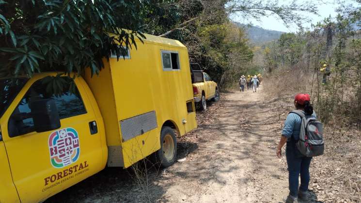  Atiende Coesfo incendio forestal en San Pedro Amuzgos    
