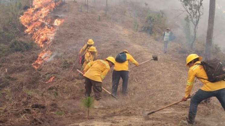       Continúa atención a incendio forestal en la zona Chontal   