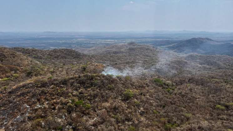Coesfo combate incendio forestal en Pinotepa de Don Luis
