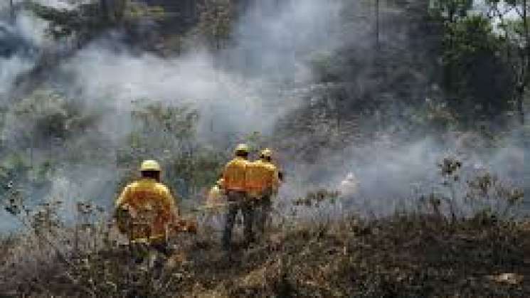   Atiende Coesfo incendio forestal en Santiago Xiacuí    