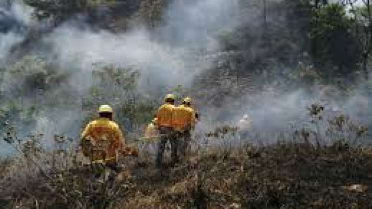 Atiende Coesfo incendio forestal en San Ildefonso Villa Alta   