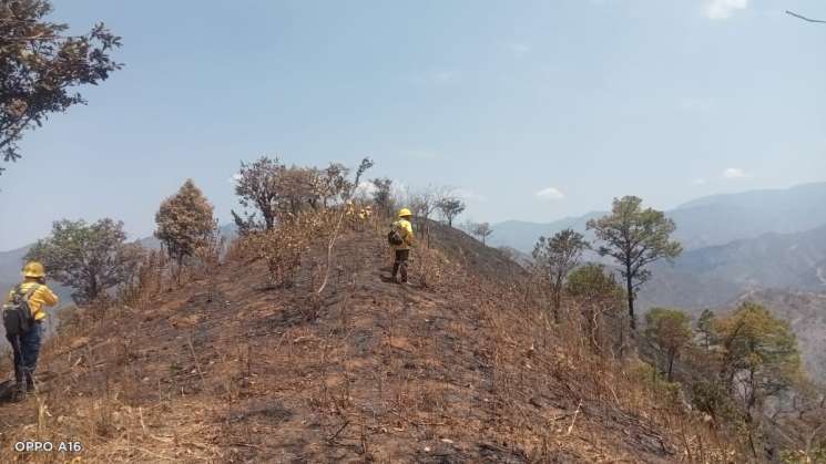   Controla y liquida Coesfo incendio forestal en la Costa   