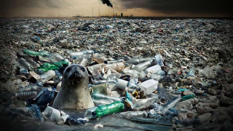 La mitad de contaminación con plásticos son de 52 empresas: S.A 
