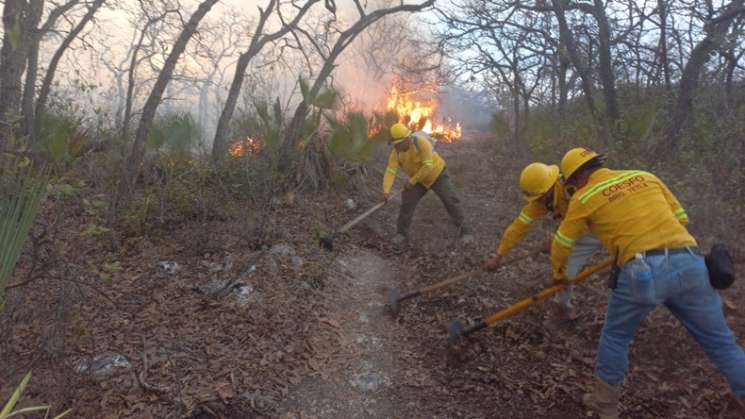 Refuerza Coesfo atención a incendio en San Fco.Telixtlahuca