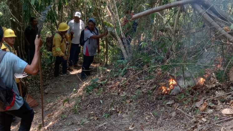 Atiende Coesfo incendios forestales en Sierra Sur 