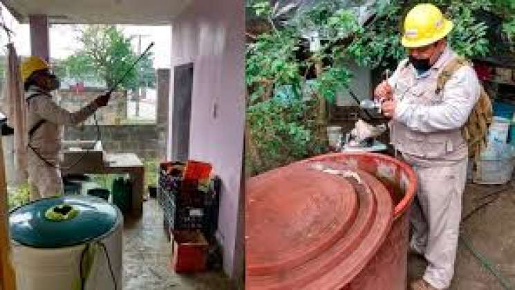 Aplican acciones contra dengue, zika y chikungunya en el Istmo 