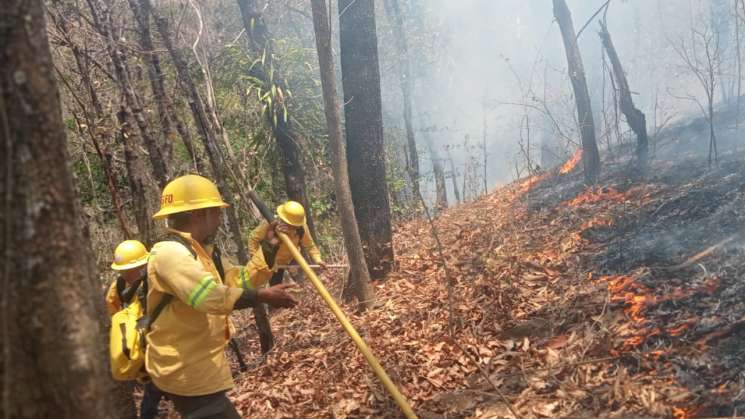 Atienden incendio forestal en San Pablo Villa de Mitla    