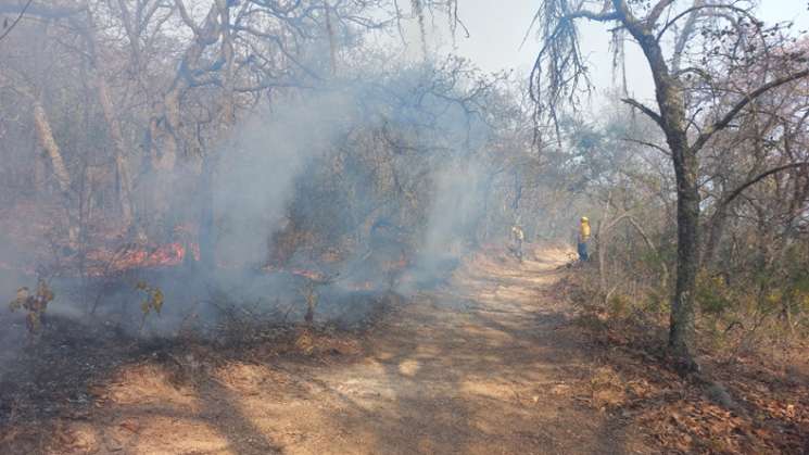 Continúa la atención de incendio en San Francisco Telixtlahuaca