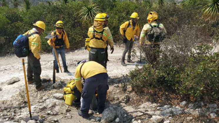 Sofocan al 100% incendio forestal de Tepelmeme Villa de Morelos