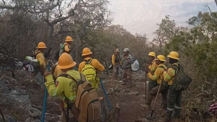Combaten reactivación de incendio en Tepelmeme Villa de Morelos  